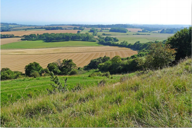 Screen capture of photograph taken from Tolsford Hill. Copyright M. Dugdale.