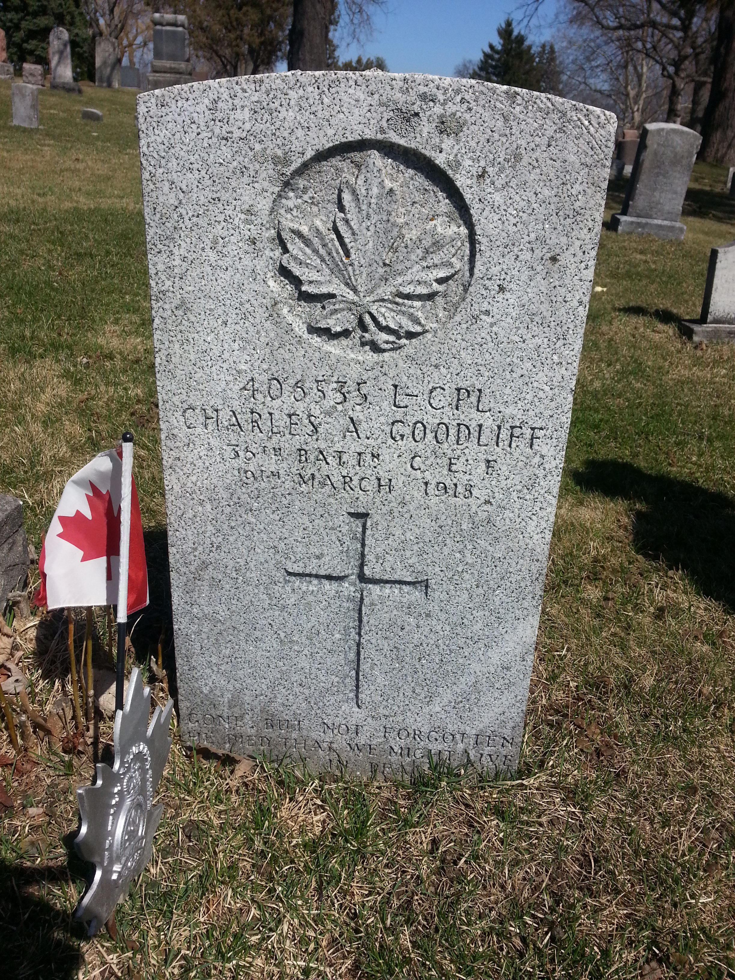 127908693_1429239693