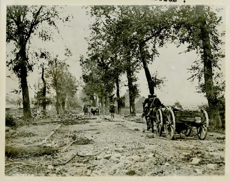 Arras Cambria Road