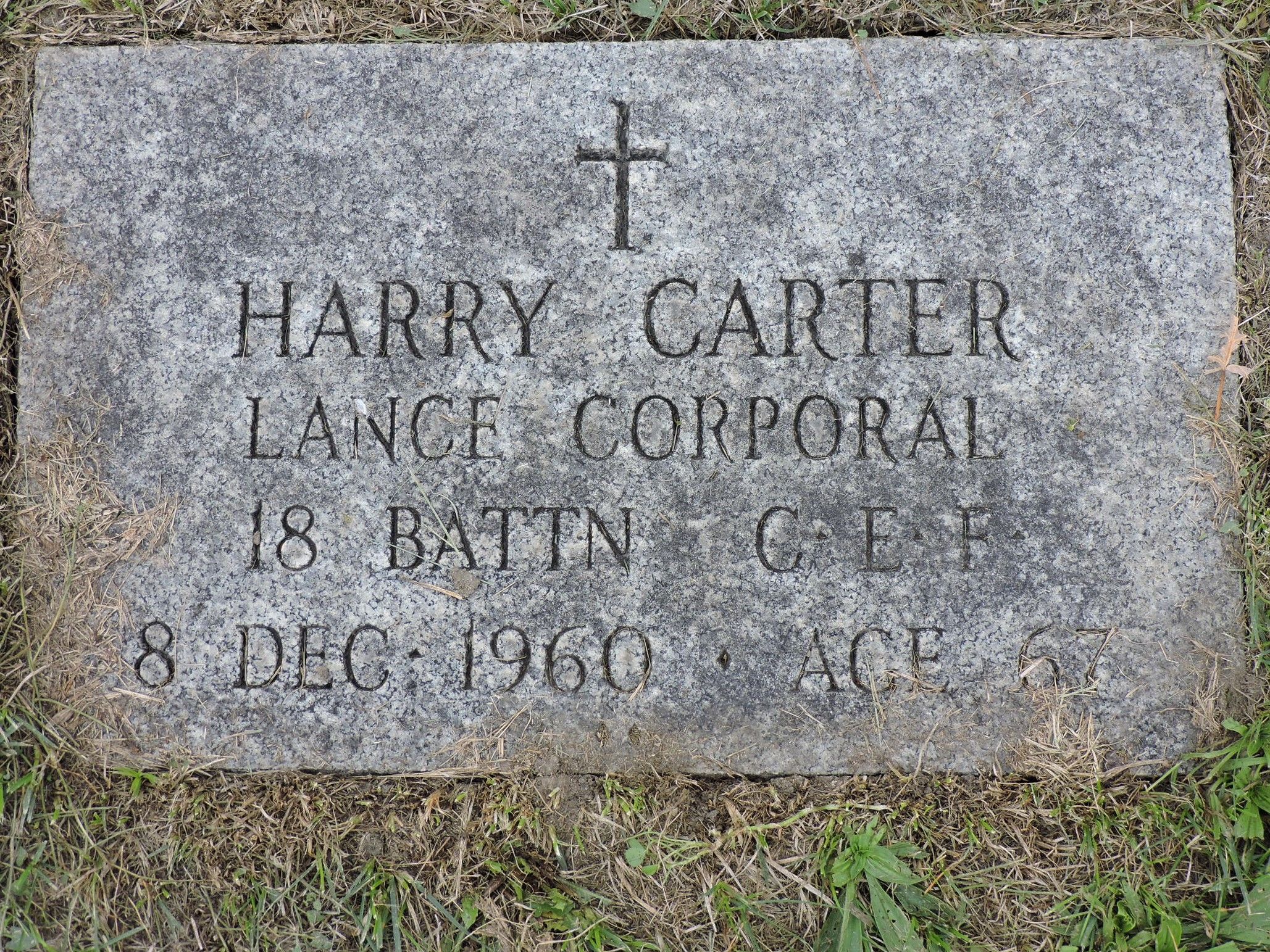 194529001_d60e277a-d37e-4b35-891c-cdce5c979063