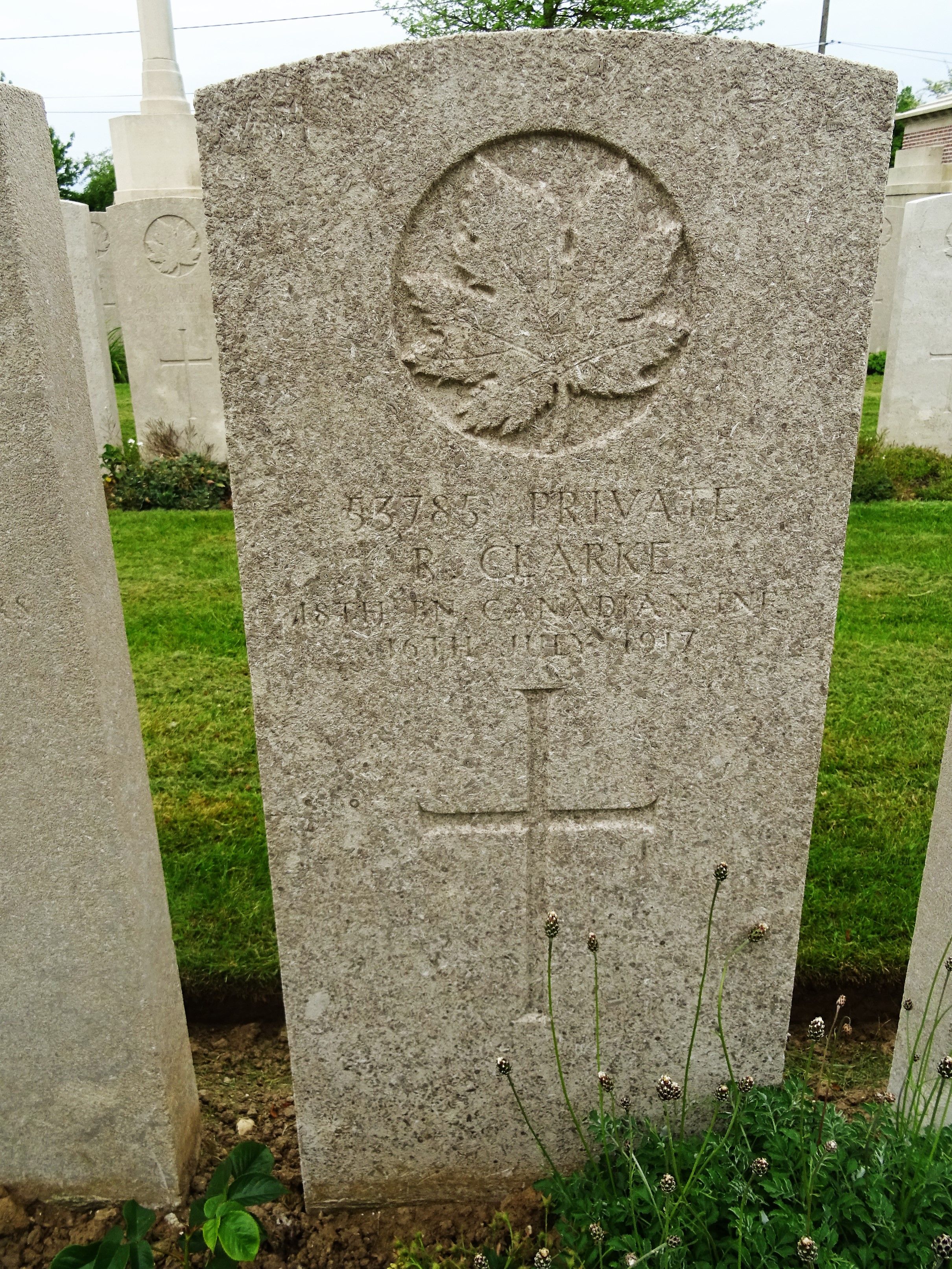 56513901_9cc64057-1bb5-45ef-a689-c4ebd244cd3e