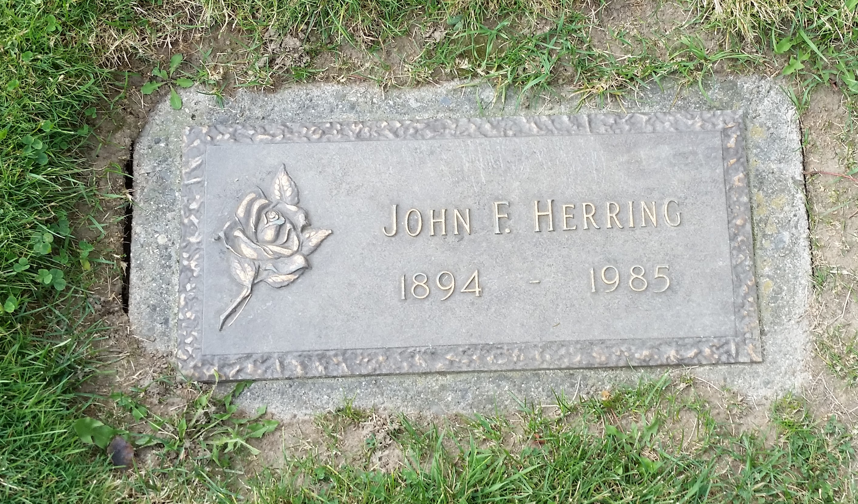 183510466_1505703384