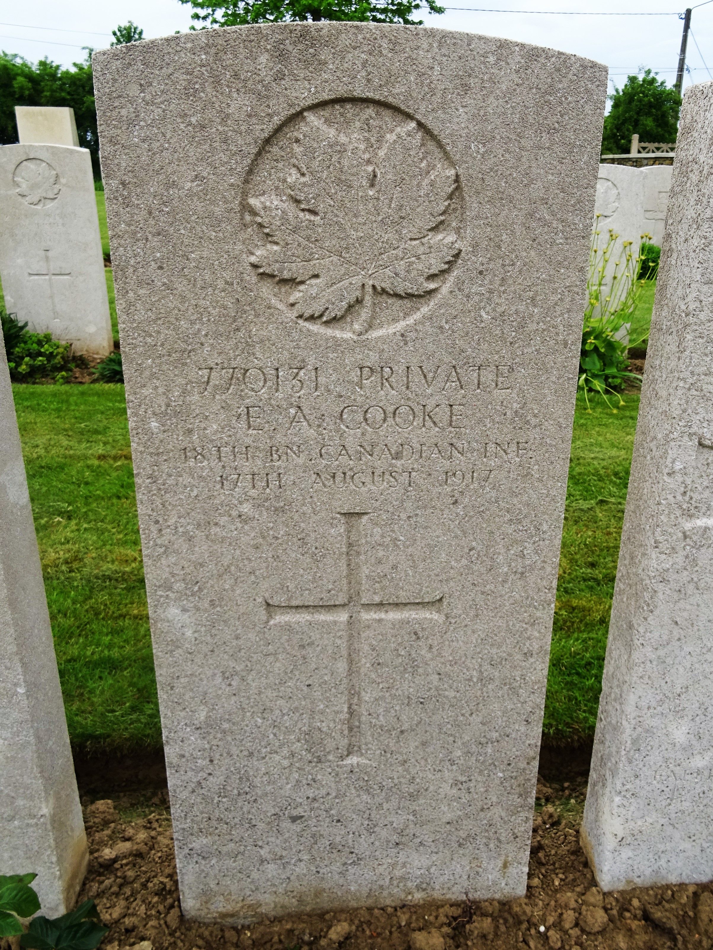 56513926_42c12b34-c892-4084-8c1f-ccaa1d3ba913