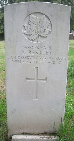 56633841_136425911460