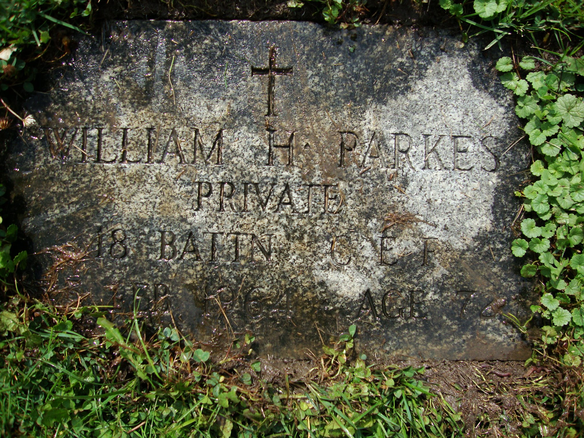 119167548_10222609896372686_6517589265858727001_o